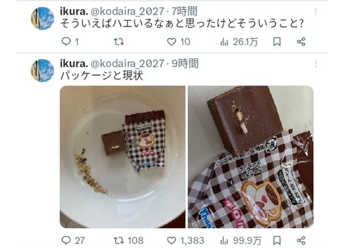 チロルチョコ虫