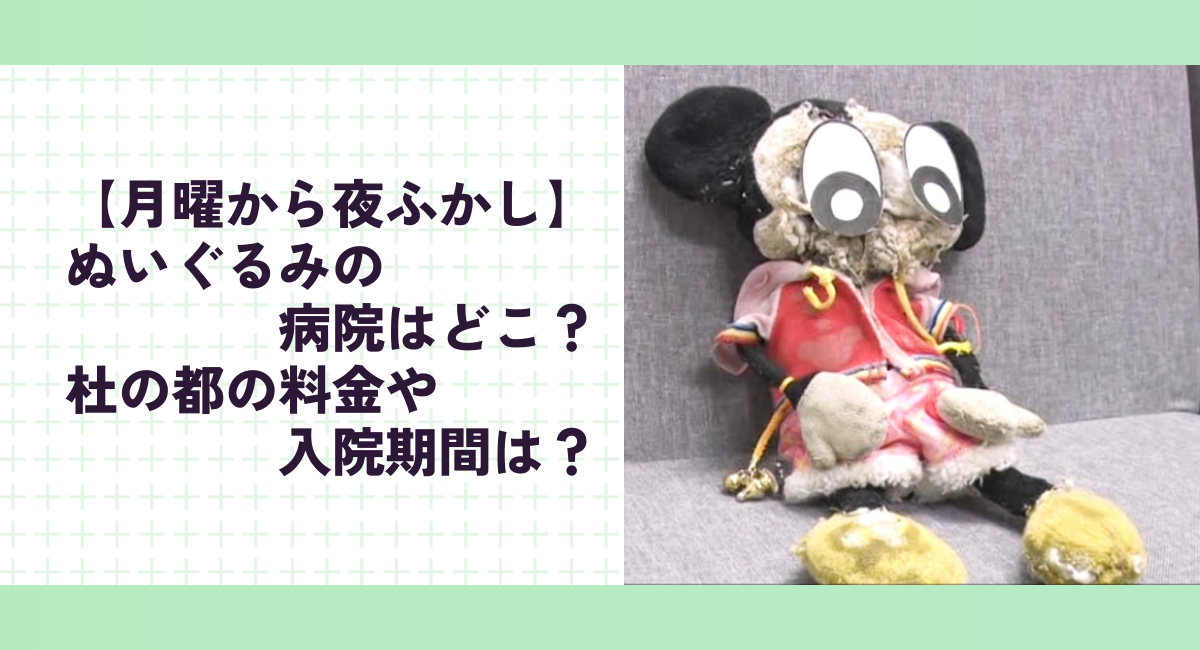 【月曜から夜ふかし】ぬいぐるみの病院はどこ？杜の都の料金や入院期間は？